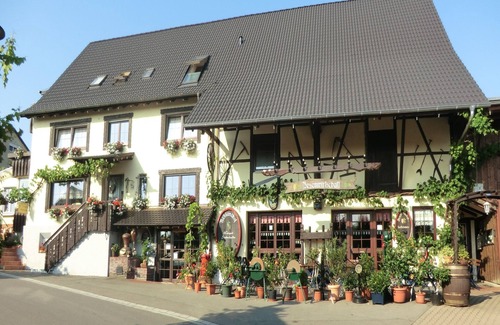Immenstaad am Bodensee Apartment | Top-Rated Appartement Müller Thurgau with Kitchen & Breakfast