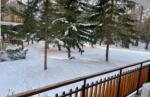Saint-Etienne-de-Tinee Apartment | Discover Appartement Auron: Pet-Friendly & Steps to Centre