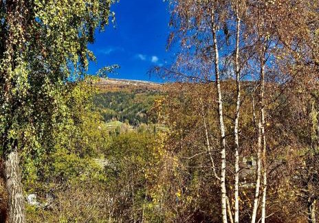 Sankt Michael im Lungau Apartment | Pet-Friendly Appartement Baier with High Guest Ratings