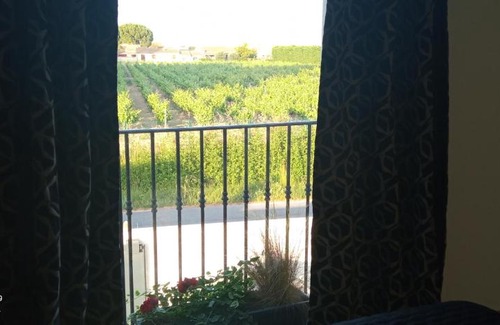 Saint-Laurent-d'Aigouze House | Modern Apartment in the Heart of Camargue – Rated 9.3/10