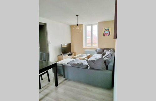 Raon-l'Etape Apartment | Pet-Friendly Appartement by the Vosges Mountains