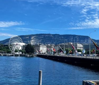 Downtown Geneva Apartment | Pet-Friendly Appartement 1.5 in Genève Lac - Rated 8.8