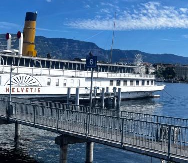 Downtown Geneva Apartment | Pet-Friendly Appartement 1.5 in Genève Lac - Rated 8.8