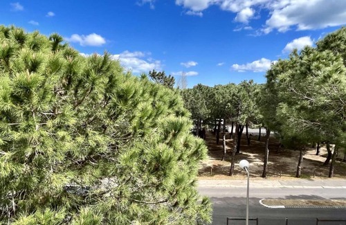 Argeles Plage Apartment | Cozy Apartment Near the Beach in Argelès-sur-Mer