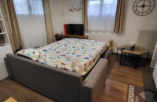 Vosges Apartment | Cozy 2-Room Apartment Near Lake Bouzey - Family Friendly