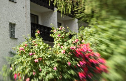 Bad Alexandersbad Apartment | Cozy 40qm Apartment with Balcony and Pet-Friendly Perks