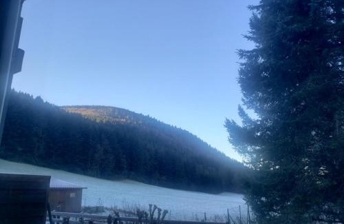 Rochesson Apartment | Cozy Apartment for 4 in Vosges - Pet & Child Friendly
