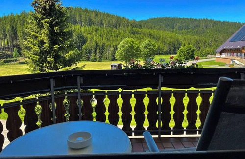 Titisee-Neustadt Apartment | Cozy 40qm Apartment with Balcony and Spa Amenities