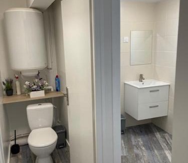 Pont-de-Cheruy Apartment | Ideal Appartement Agility near LDLC Arena in Lyon