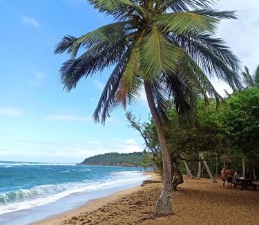 Sainte-Luce Apartment | Discover Alizé: Oceanfront Getaway with Pet-Friendly Comfort