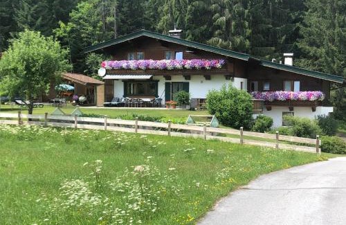 Sankt Johann in Tirol Apartment | Family-Friendly Appartement Wörgötter Evi with Kitchen Access