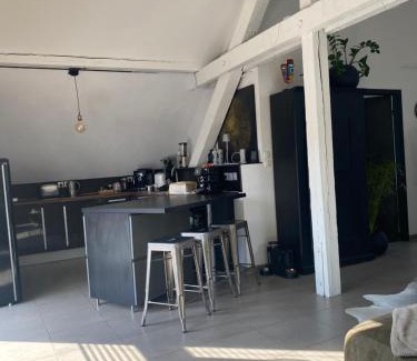 Selestat Apartment | Appartement atypique lumineux