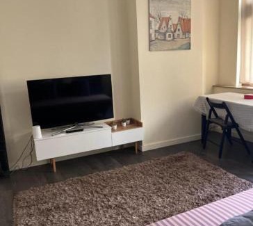 Quartier du Centre - Centrumwijk Apartment | Cozy Apartment Steps from Grand Place - Family & Pet Friendly
