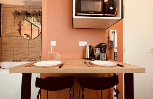 Centre Ville Rive Gauche Apartment | Exceptional Appartement Balneo The Notebook with Hot Tub