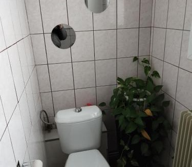 Kertzfeld Apartment | Appartement centre Alsace