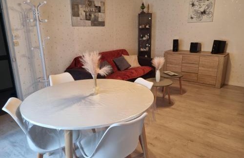 Salbris Apartment | Pet-Friendly Apartment in the Heart of the City