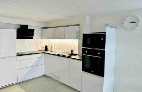 Excenevex Apartment | Stunning Lakeview One-Bedroom Apartment in Excenevex