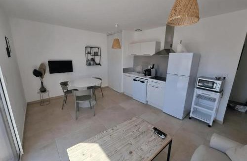 Bravone Apartment | Appartement convivial à Linguizzetta avec piscine