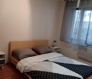 Plaine des Bouchers Apartment | Cozy Apartment in Strasbourg with Family-Friendly Amenities