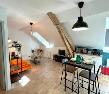 Rodez Apartment | Pet-Friendly Appartement Cosy in Hyper Centre with WIFI