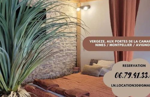 Vergeze Apartment | Cozy Apartment with Private Pool - Le Strelitzia Awaits