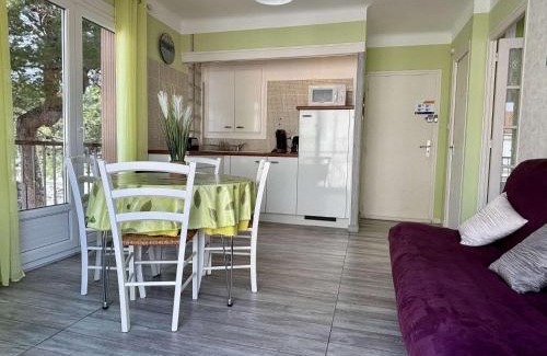 Plage d'Argeles Apartment | Appartement deux pièces centre plage Argelès sur mer AR110-108