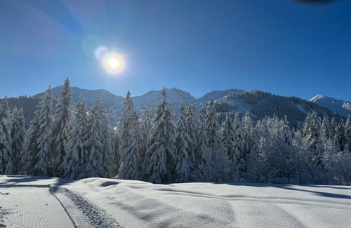 Sankt Johann in Tirol Apartment | Top-Rated Appartement Erler: Pet Friendly & Family Ready