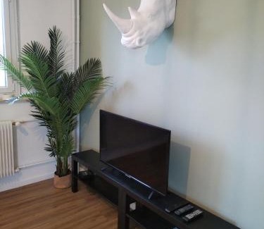 Quartier Saint-Leon Apartment | Comfortable Appartement Entier Colmar for Family Getaways