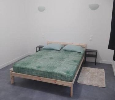 Perignat-les-Sarlieve Apartment | Elegant T2 Apartment Near Zenith with Pet-Friendly Amenities