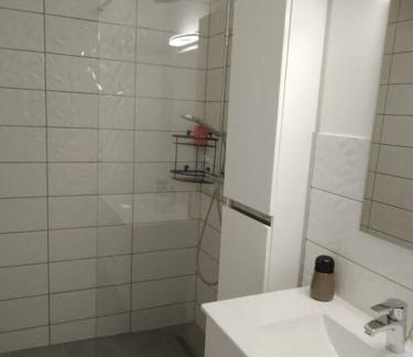 Perignat-les-Sarlieve Apartment | Elegant T2 Apartment Near Zenith with Pet-Friendly Amenities