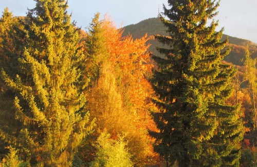 Guggenthal Apartment | Pet-Friendly Appartement-Heuberg with 9/10 Guest Rating