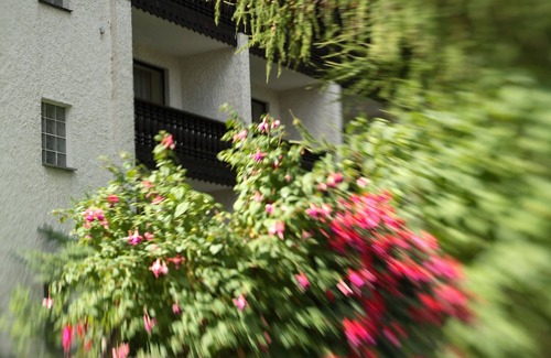 Bad Alexandersbad Apartment | Top-Rated Apartment with Kitchen and Breakfast Options