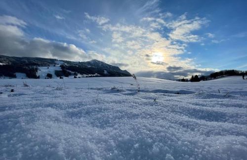 Kranzegg Apartment | Cozy Apartment in the Heart of Allgäu – Family Friendly Stay