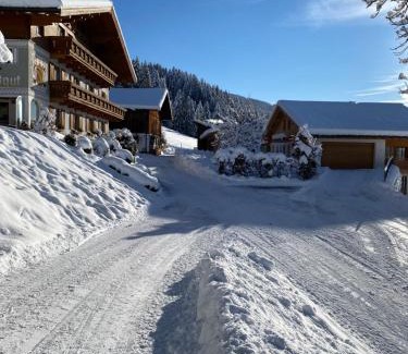 Eben im Pongau Apartment | Top-Rated Appartement Josef with Pool & Hot Tub Experience