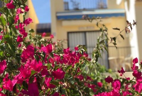 La Siesta Apartment | Scenic Appartement Kyrah: Ocean View & Pool Access Awaits