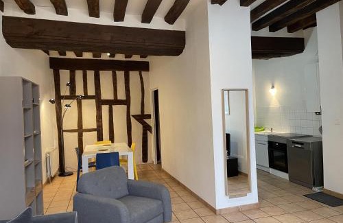 Auxerre Apartment | Family-Friendly Appartement Le Coche d'Eau in Auxerre