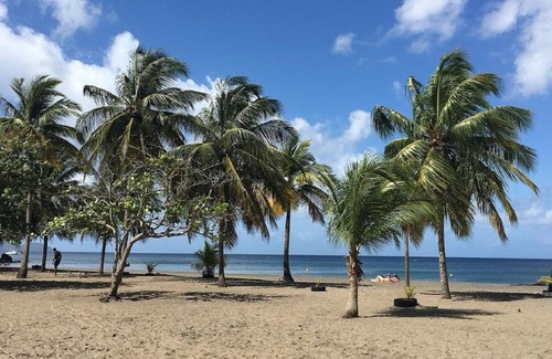 Fort-de-France Apartment | Oceanfront Appartement le PAON - Rated 10/10 by Guests