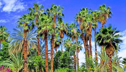 Majorelle Apartment | Beautiful Apartment with Garden Views Near YSL Museum