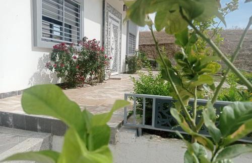 Taounate Apartment | Elegant Apartment for Rent in Taounate - 10/10 Rated