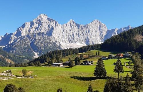 Ramsau am Dachstein Apartment | Discover Appartement Mühlebnerhof: Pet-Friendly Retreat