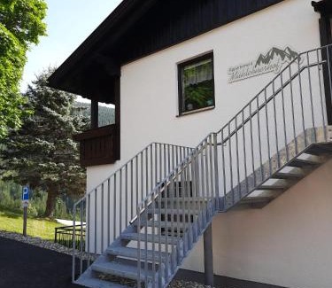 Ramsau am Dachstein Apartment | Discover Appartement Mühlebnerhof: Pet-Friendly Retreat