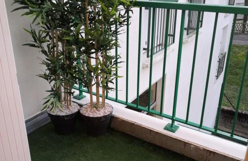 La Roche-Posay Apartment | Appartement meublé avec balcon - Animaux admis, WiFi - FR-1-541-146