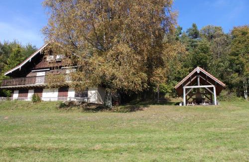 Fraize Apartment | Cozy Chalet Apartment – Pool, Pet Friendly & Family Oriented