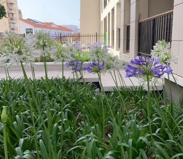 Saint-Victor Apartment | One-Bedroom Apartment in Marseille Near the Beach with Wi-Fi