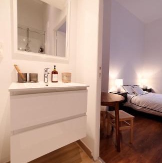 Terreaux - Bat d'argent Apartment | Cozy Appartement Place des Terreaux - Ideal for Families & Pets