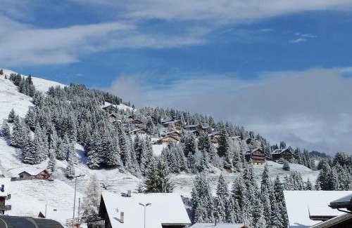 Val d'Illiez Apartment | Appartement ski in and ski out