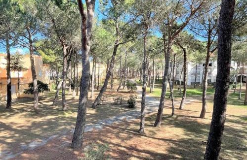 Argeles Plage Apartment | Appartement studio cabine - Argelès-sur-Mer AR530-027