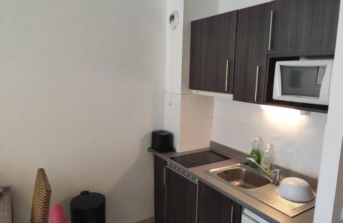 Argeles Plage Apartment | Relax at Appartement T2 with Pool, Beach & Terrace Access