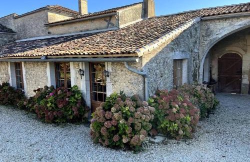 Julienne Apartment | Pet-Friendly Retreat: Appartement Terra Cotta Awaits You