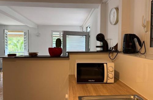 Fort-de-France Apartment | Appartement Tivoli Sur la route des rivières